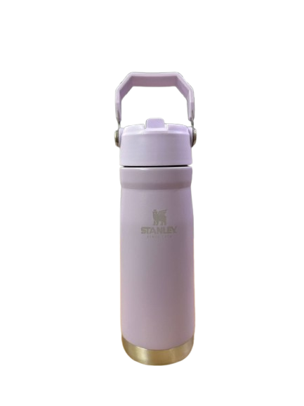 Botella Térmica Stanley 650ml Acero Inoxidable | Mantiene Frío y Calor